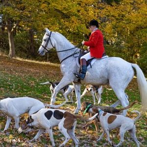 Meet your Posher, Lorraine